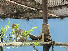 -青藏高原野生动物园