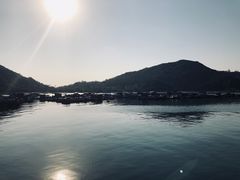 -南丫岛