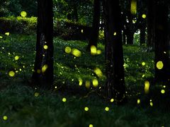 -东钱湖旅游度假区