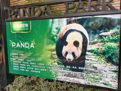 -成都动物园