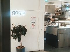-gaga(深圳南山益田假日广场店)