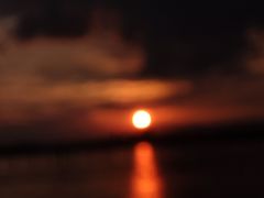 -九龙湖公园