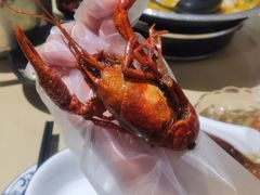-江味龙虾馆·裸蓝龙虾(南山店)