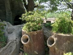 -木兰云雾山
