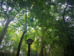 -T80科技文化国际社区-停车场