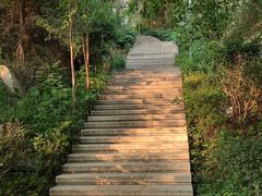-牛岗山公园