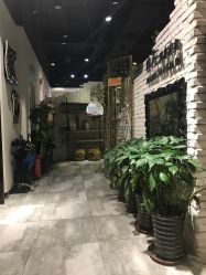 -小左沙龙