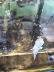 -Zoolung Zoolung动物主题公园(海信广场店)