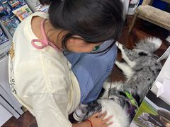 -小时光咖啡馆(北锣鼓巷店)