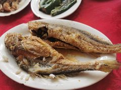 -蛇口康乐快餐鱼仔档(翠苑小区店)