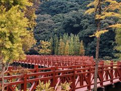 -广州市石门国家森林公园