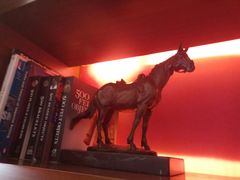 -天津津利华酒店