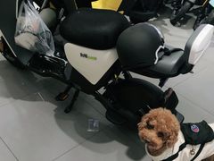 -九号电动车(安定门内大街店)