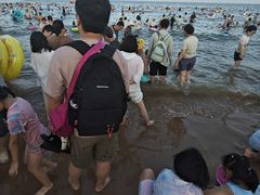 -日照海滨国家森林公园