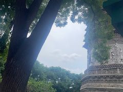-玲珑塔公园