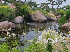 -罗红摄影艺术馆