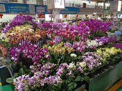 -昆明国际花卉拍卖交易中心