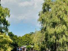 -上海共青森林公园