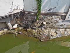 -豫园湖心亭茶楼