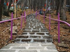 -帽儿山风景区