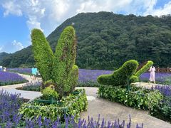 -广州市石门国家森林公园