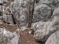 -千岛湖东南湖区