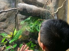 -广州长隆飞鸟乐园