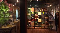 -藤野造型·专业烫染店
