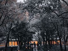-西园戒幢律寺