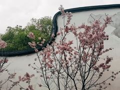 -乌山风景区