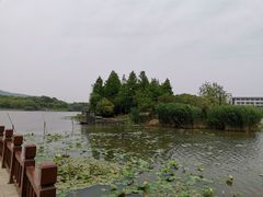 -江南大学(蠡湖校区)