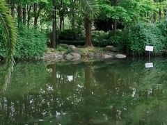 -苏州河梦清园环保主题公园