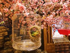 大堂-鸥迪足道(湖南示范店)