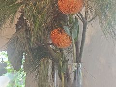 -野草莓自由市场