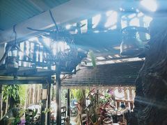 -自然餐厅(Phuket)