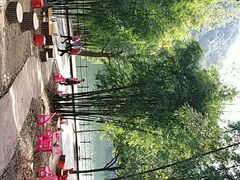 -广州市石门国家森林公园