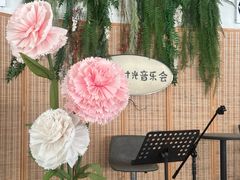 -芭厘·农庄老字号.电饭煲五指毛桃焗鸡