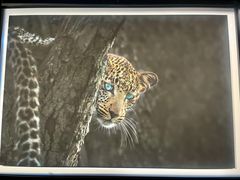 -罗红摄影艺术馆