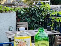 -Sirena海妖日咖夜酒