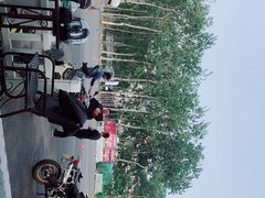 -枫花园汽车电影院(朝阳公园店)