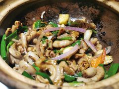 啫啫生肠-广东道至正餐厅(区庄店)