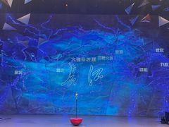 -重庆国际马戏城