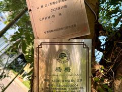 -天宫南铂玫瑰园酒店
