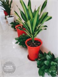 -尚艺造型.剪烫染.接发