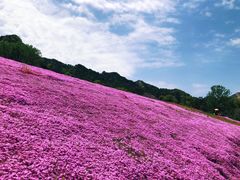 -昆嵛山石门里景区