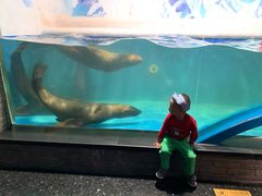 -成都浩海立方海洋公园