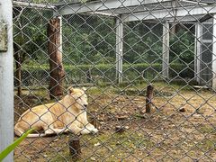 -合肥野生动物园