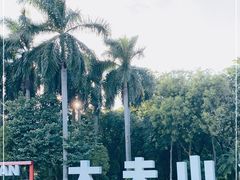 -番禺大夫山森林公园