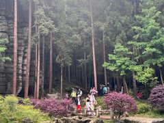 -梭布垭石林景区