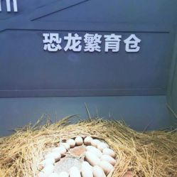 -恐龙探索乐园(磁器口店)